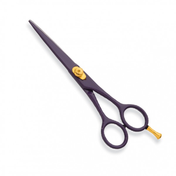 Professional hair Cutting Scissors
